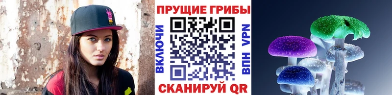 купить наркотик  ссылка на мегу tor  Псилоцибиновые грибы ЛСД  Гдов 